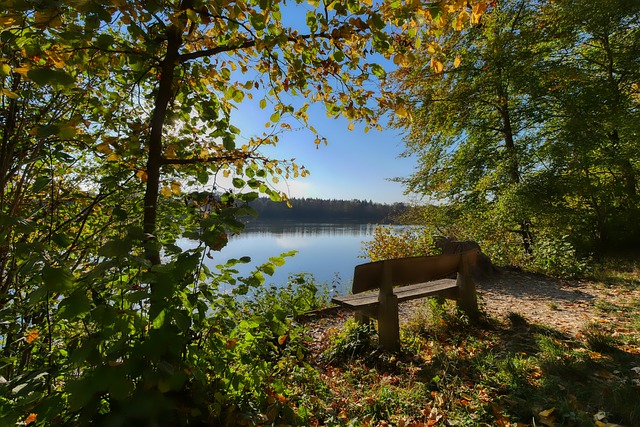 佐纳森相信爱徒能挫大林拓真 “良好战术能让贺首维获胜”.