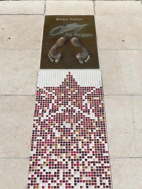 为子孙后代 为子孙后代